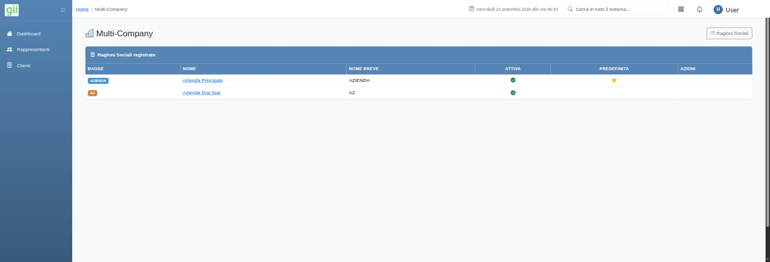 Multi-company in giiSoftware